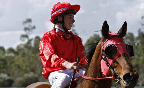 Cam Magic after his win in Middlemount. Cam Magic after his win in Middlemount.